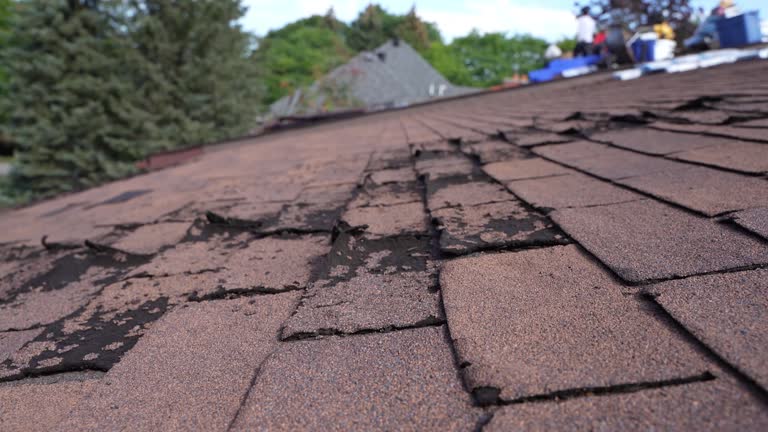 Fast & Reliable Emergency Roof Repairs in Georgetown, OH